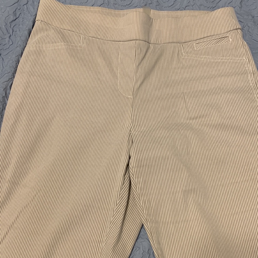 Business Causal Trouser